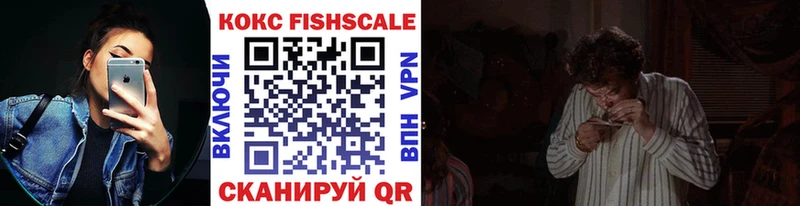 Кокаин Fish Scale  купить закладку  Минусинск 