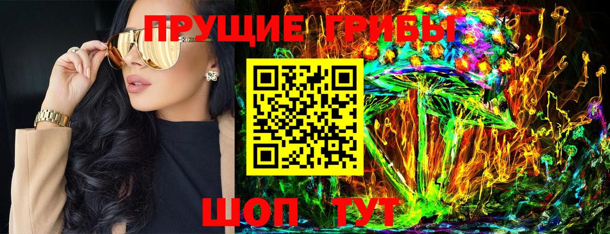 Галлюциногенные грибы Psilocybe  купить  цена  Минусинск  Вход с VPN 