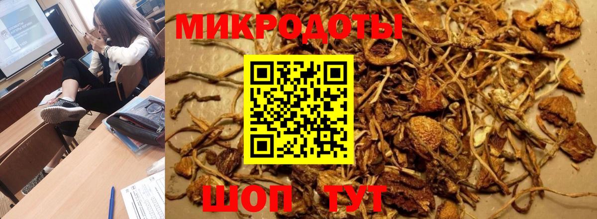 Псилоцибиновые грибы Psilocybine cubensis Минусинск